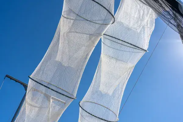 Mallas colgadas bajo un cielo azul brillante